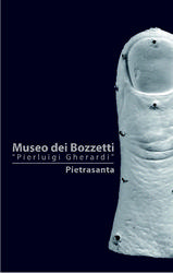 02_logomuseodeibozzettipietrasanta_format